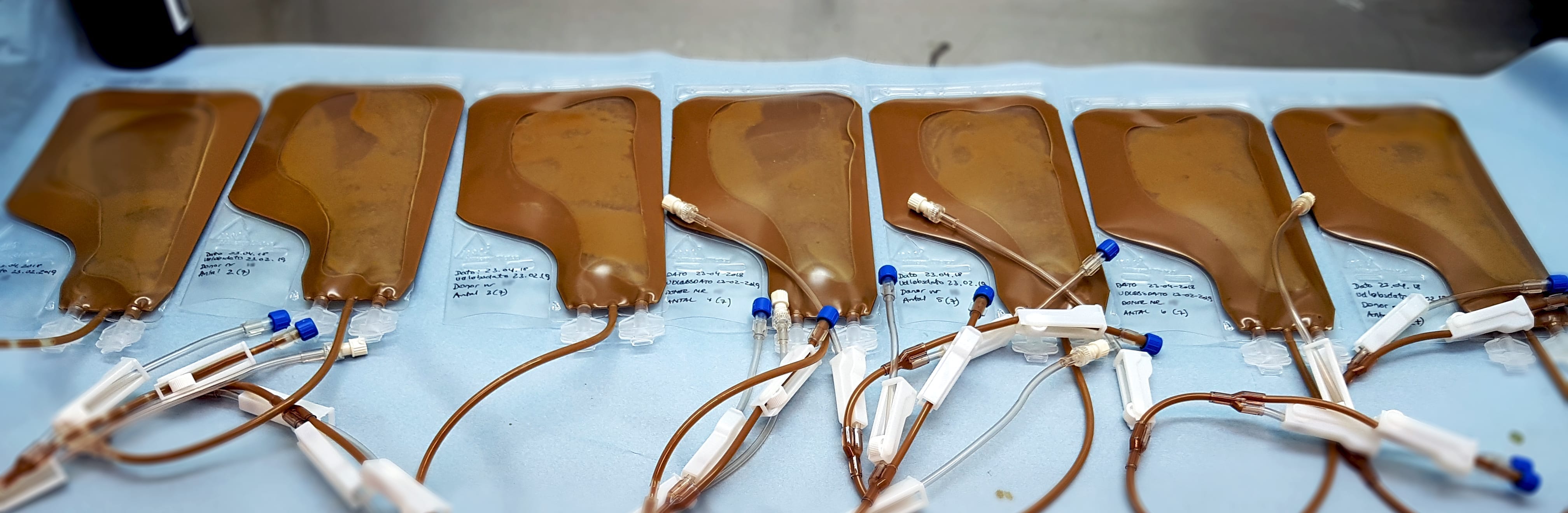 Foto af faeces afføringsprøver til fæcestanplantation klargjort i transplantationsposer